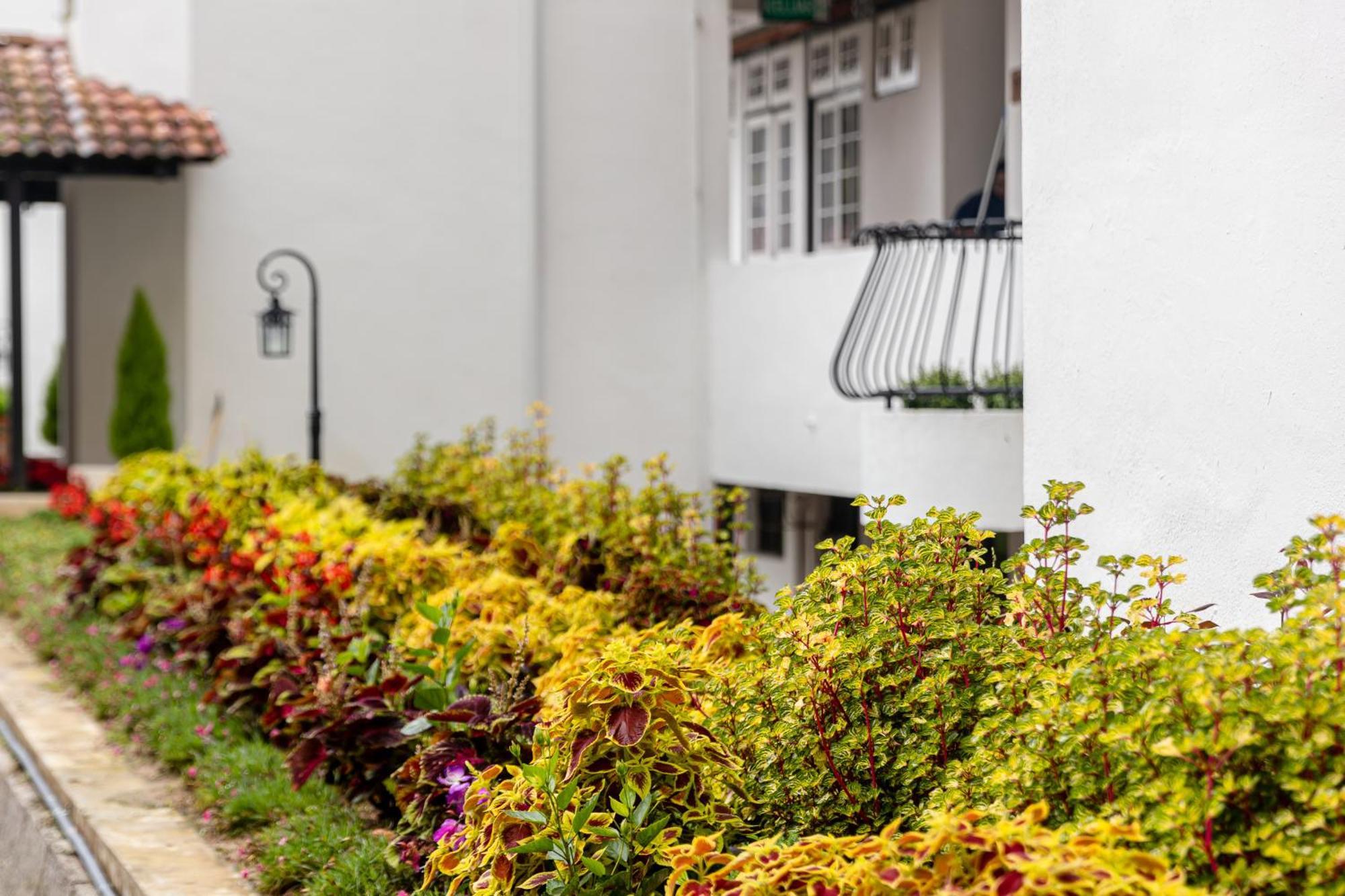 Springhill Resort Cameron Highlands Bagian luar foto